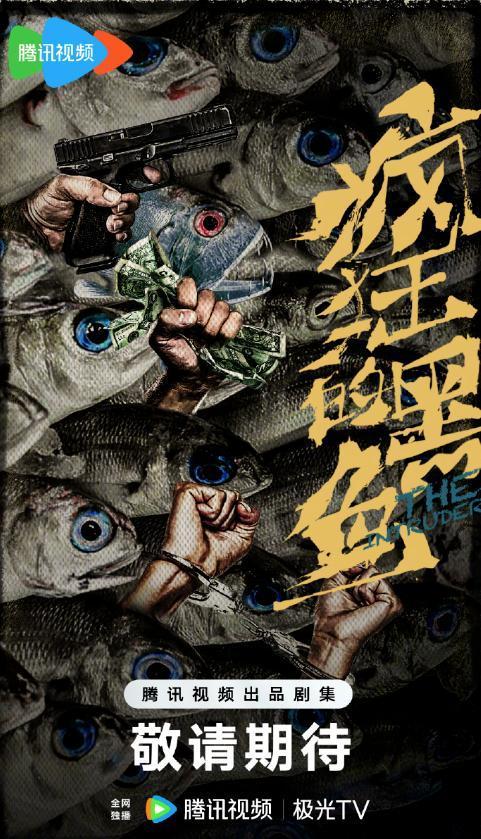 国产黑鱼动画视频播放下载,播放下载热潮背后的魅力解析