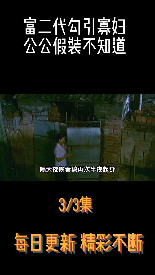 国产农村妇女午夜视频,午夜农村妇女生活片段揭秘