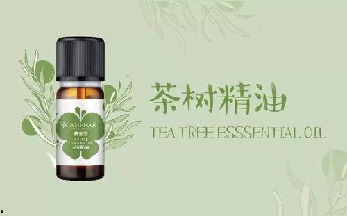 国产情趣精油推荐视频,视频推荐精选盘点