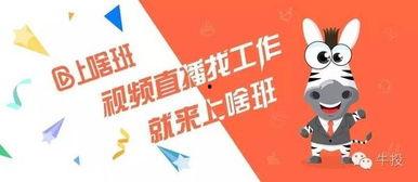 国产蓝领女士免费视频,真实生活片段呈现