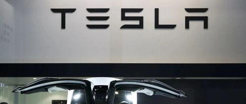 国产特斯拉刹车事件视频