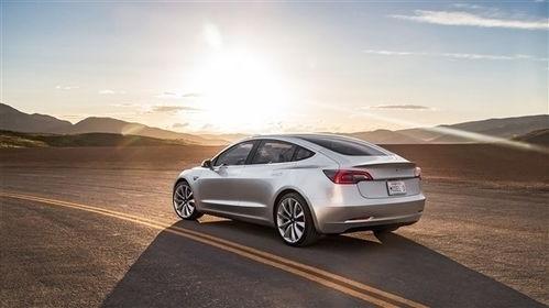 国产特斯拉刹车事件视频